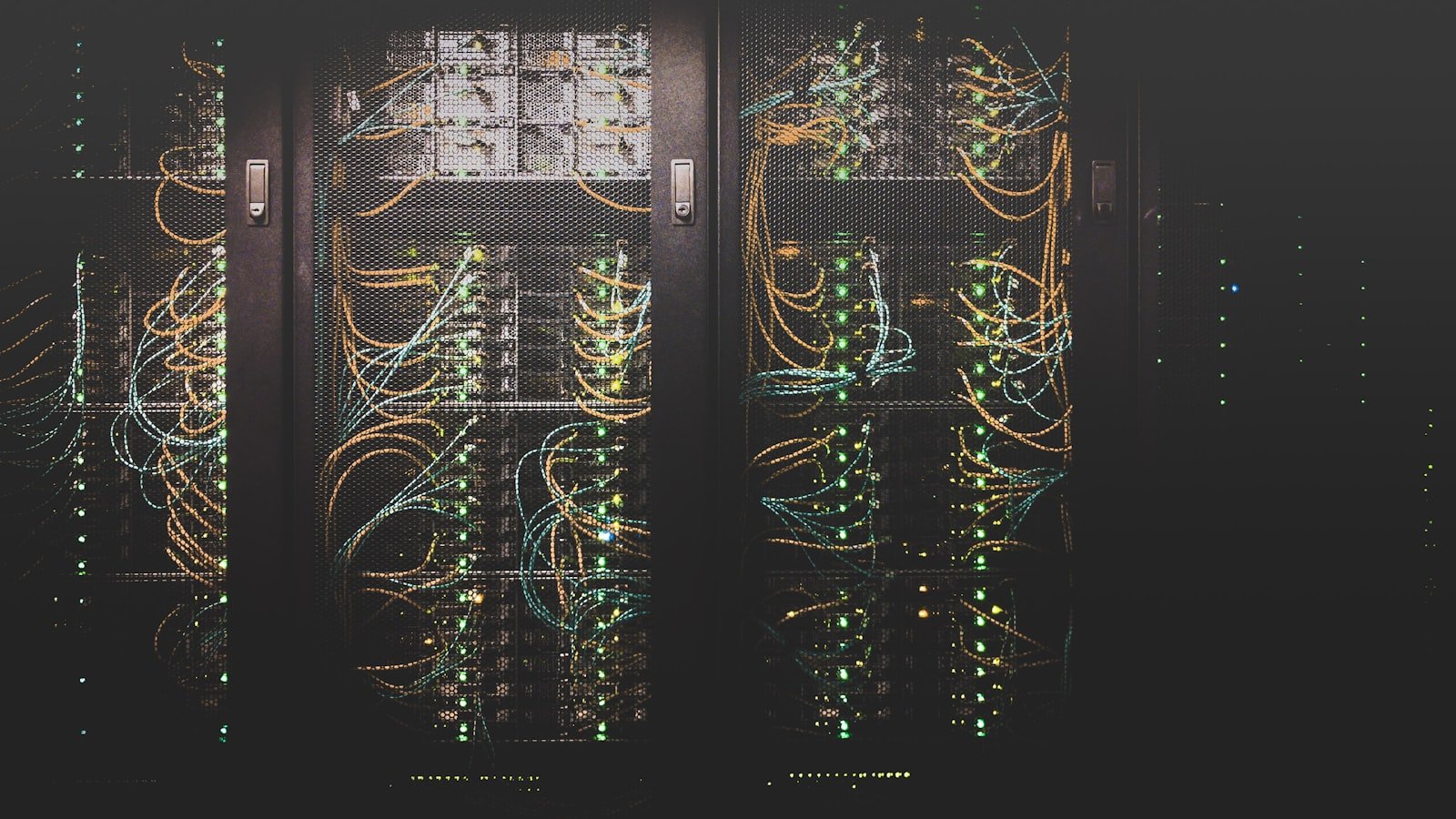 Network Engineer Experience Week